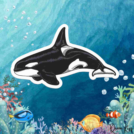 Cute Whale Sticker, Waterproof Glossy Sticker, Vinyl Sticker, Laptop Phone Notebook Mug Sticker -- Whale Paradise